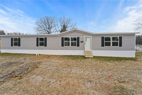 Photo of 541 Lincoln Avenue, Struthers, OH 44471 (MLS # 5178786)