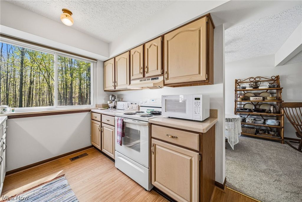 Photo of 6216 Center Street, Mentor, OH 44060 (MLS # 5203731)