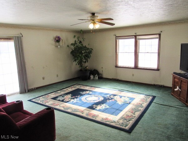 Rolling Heights Allotment - Residential