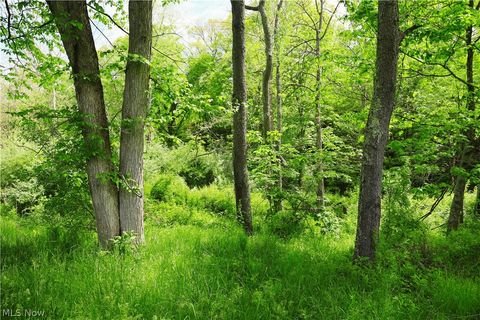 Tiny photo for Morganville Rd Road, Corning, OH 43730 (MLS # 5210600)