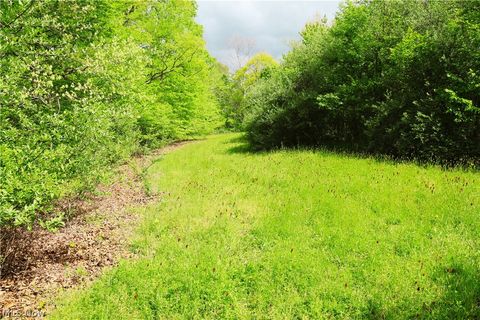 Tiny photo for Morganville Rd Road, Corning, OH 43730 (MLS # 5210600)
