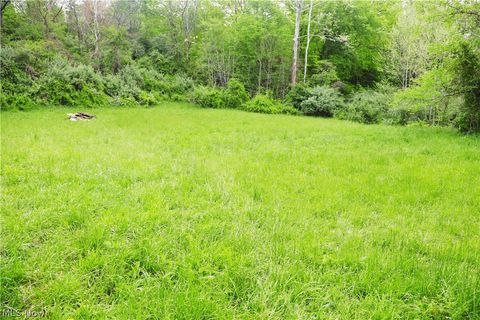 Tiny photo for Morganville Rd Road, Corning, OH 43730 (MLS # 5210600)