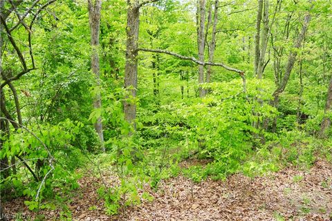 Tiny photo for Morganville Rd Road, Corning, OH 43730 (MLS # 5210600)