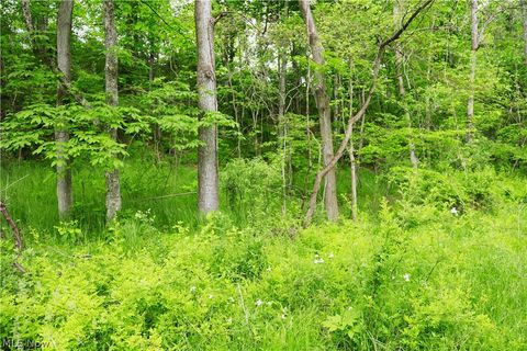 Tiny photo for Morganville Rd Road, Corning, OH 43730 (MLS # 5210600)