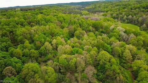 Photo of Morganville Rd Road, Corning, OH 43730 (MLS # 5210600)