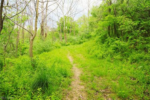 Tiny photo for Morganville Rd Road, Corning, OH 43730 (MLS # 5210600)