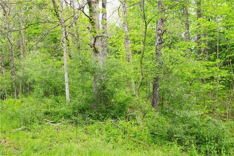 Tiny photo for Morganville Rd Road, Corning, OH 43730 (MLS # 5210600)