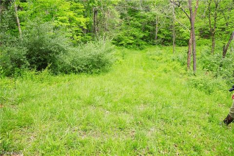 Tiny photo for Morganville Rd Road, Corning, OH 43730 (MLS # 5210600)