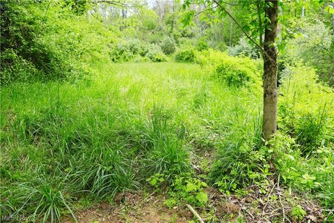 Tiny photo for Morganville Rd Road, Corning, OH 43730 (MLS # 5210600)