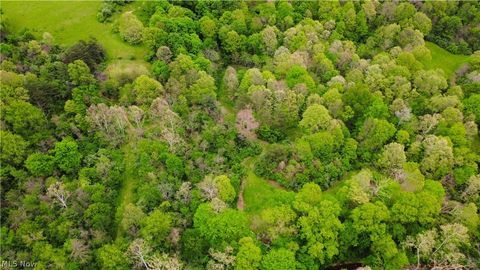 Tiny photo for Morganville Rd Road, Corning, OH 43730 (MLS # 5210600)