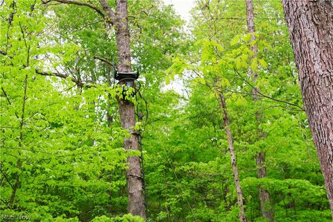 Tiny photo for Morganville Rd Road, Corning, OH 43730 (MLS # 5210600)