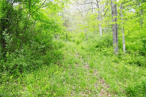 Tiny photo for Morganville Rd Road, Corning, OH 43730 (MLS # 5210600)