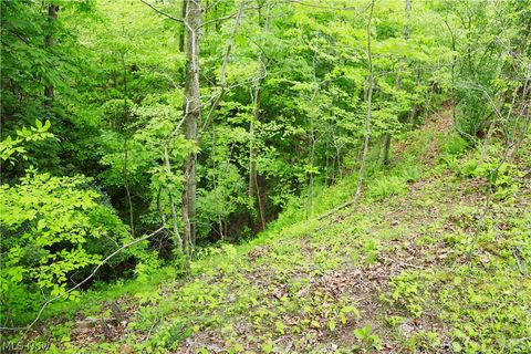 Tiny photo for Morganville Rd Road, Corning, OH 43730 (MLS # 5210600)