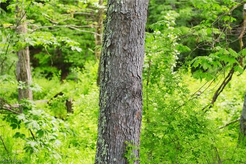 Tiny photo for Morganville Rd Road, Corning, OH 43730 (MLS # 5210600)