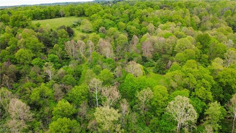 Tiny photo for Morganville Rd Road, Corning, OH 43730 (MLS # 5210600)