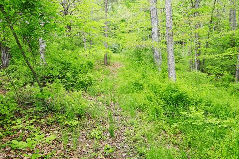 Tiny photo for Morganville Rd Road, Corning, OH 43730 (MLS # 5210600)
