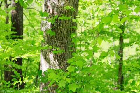 Tiny photo for Morganville Rd Road, Corning, OH 43730 (MLS # 5210600)