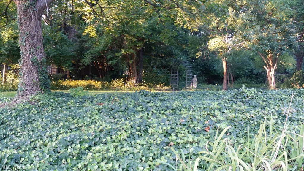 Van Sweringen Co 12 & 13 - Residential