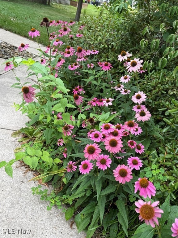 Meadowood - Residential