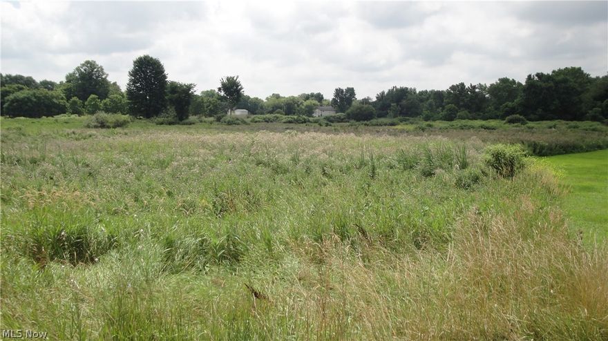 2 acres on Burbank St, Creston, Ohio to be approved by survey. Firm $29,900 . Part of bigger parcel. 3.5 acres can be bought for $60,000 On Erie St.  All the property 14 acres for $120,000. In middle of Creston town. With water & sewer both streets. Anything that you buy will have to be approved by Creston City.