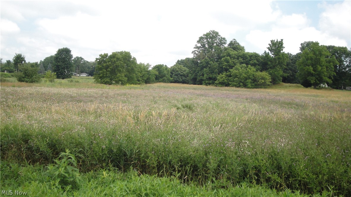 Burbank Street, Creston, Ohio image 3