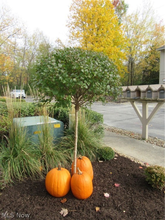 Creekside Condos - Residential