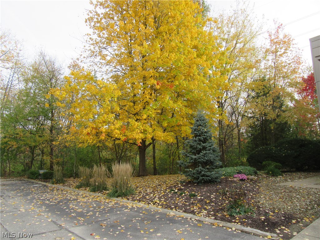 Creekside Condos - Residential