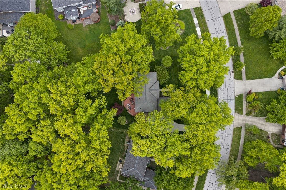 Savannah - Residential