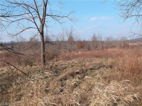 Vacant Land For Sale - 56525 Vocational Rd<br/> Buffalo, OH 43722