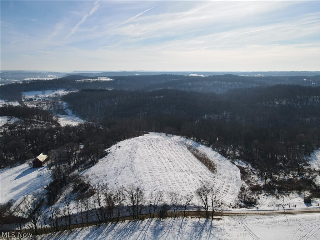 Excellent hunting property nestled back in the hills of Coshocton County on a quiet township rd. 4 miles south of Warsaw. Good blend of hardwoods and deer traces throughout. 4 acre open and tillable land with the balance being wooded. Hunting shed by the road will convey with the property as will the 6 ladder stands located throughout the property.