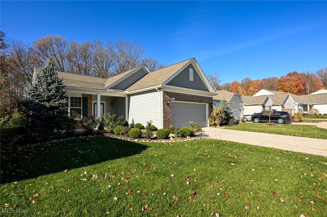 494 Arbor Lane
