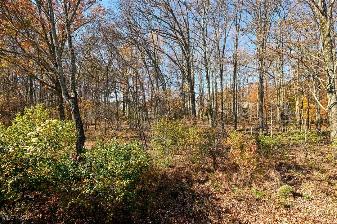 Arbor Chase Sub Ph 2 - Residential