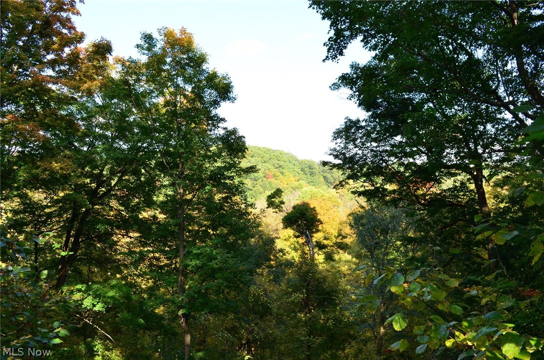 Township/Leroy - Residential