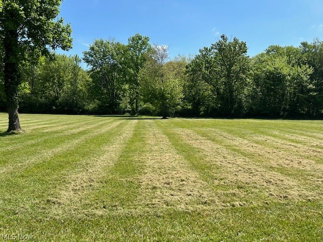 Vacant Land Green Road, Madison, Ohio image 4