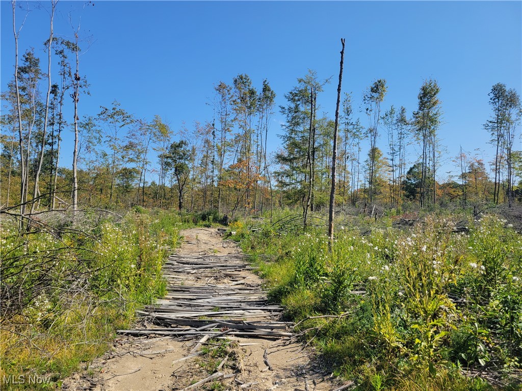 State Road, Kingsville, Ohio image 3