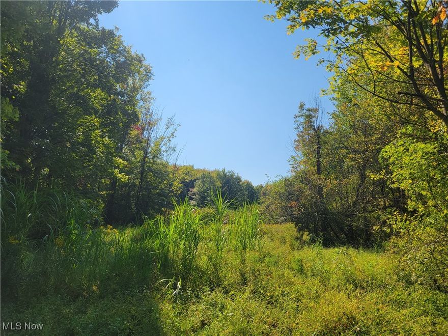 This is an auction that will be sold on Monday October 28 at 5:00 PM. Live and online bidding available. Attention wildlife enthusiasts look here offering 55-acre tract. The property is situated in a prime hunting area and is home to an abundance of wildlife. The land has been timber cut in the back with great under cover for wildlife and food plot location. Whether you’re a seasonal hunter or looking for a cabin site with a peaceful escape!! Don’t miss out on this rare opportunity to own a piece of excellent recreational land.  Contact us today for more information on this property and the auction. We can’t wait to help you make your outdoor dreams a reality. Call us before walking the land at your convenience and at your own risk.