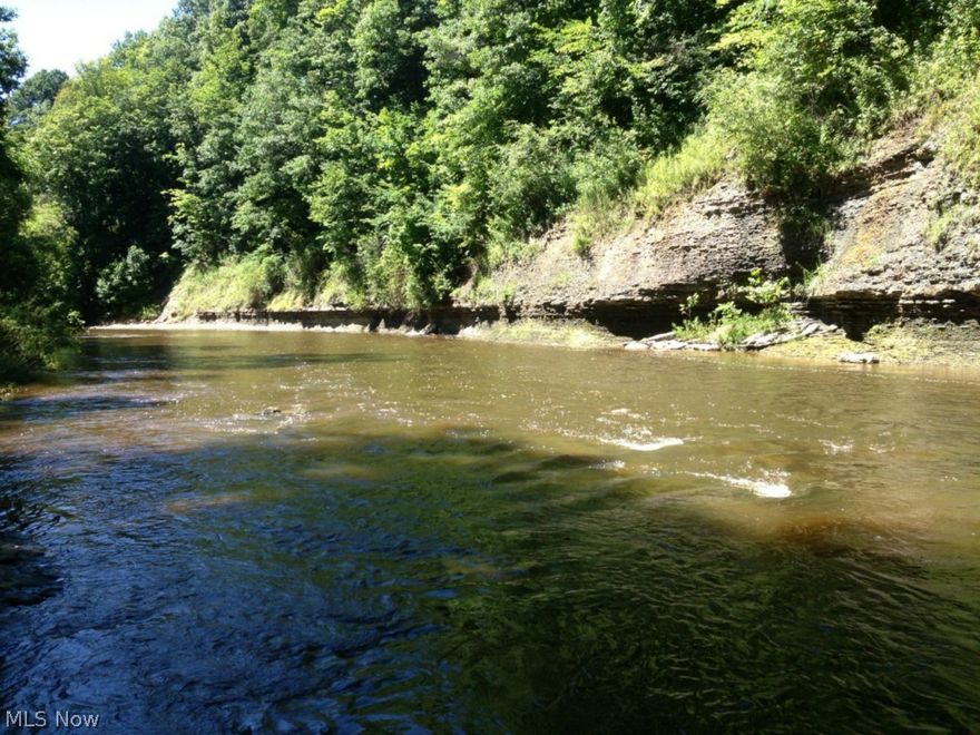 Build, hunt, fish or play on this 11+ acre wooded Ashtabula River front lot- no drop off to the river, just walk right in and cast a line or dock your canoe! A truly outstanding piece of property with e-z access to Rt 11 & I-90. 1190 ft of river frontage.