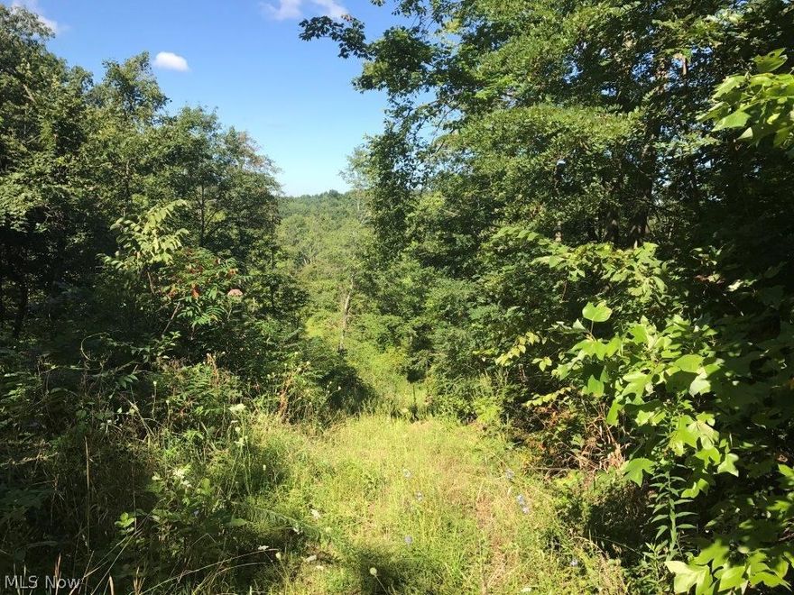 62 mostly wooded acres with loads of road frontage and excellent potential. This land has good evidence of wildlife and has many trails throughout. There are several good building sites overlooking the Crooksville lakes. Make plans to walk this land at your convenience. 
Parcel 1: 30.396 Acres w/ 2,615’ frontage on Possum Hollow Rd. & Deavertown Rd. 
Parcel 2: 32.324 Acres w/ 130’ frontage on Deavertown Rd. 
TERMS: 10% Buyers Premium. 10% nonrefundable down payment with balance due at time of closing. No contingencies. Mineral rights have been previously withheld and are not available for transfer. Acreage & frontage amounts including lot markers are approximate and subject to final survey. LEGAL: Parcel #’s 1900002000 to 1900002200 in York Township of Morgan County and the Crooksville SD. Taxes per half year are: $757.05