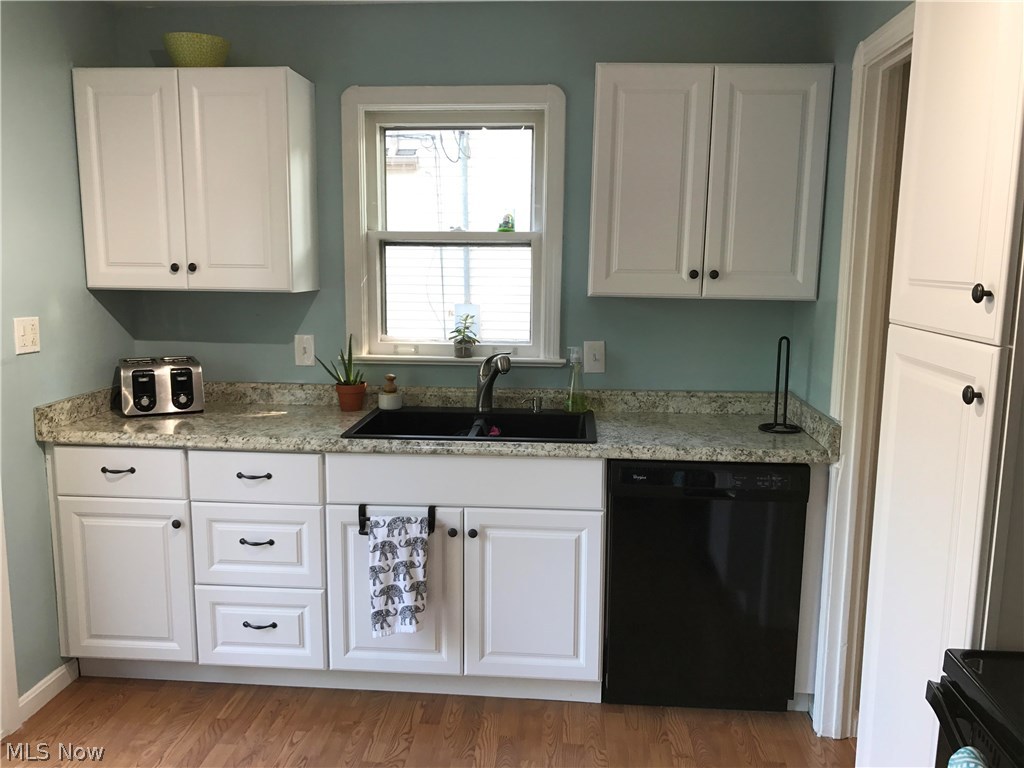 Lake Erie Park - Residential