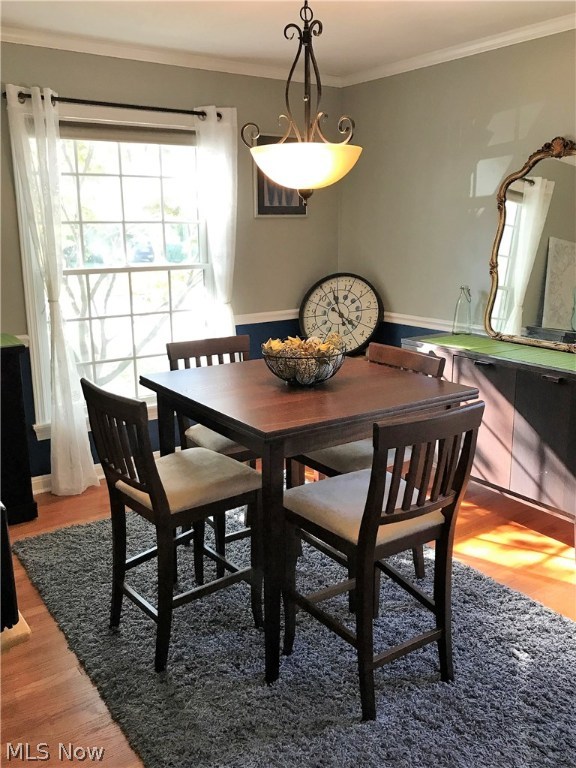 Lake Erie Park - Residential