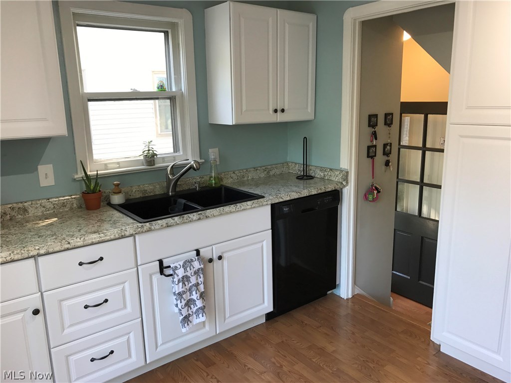 Lake Erie Park - Residential