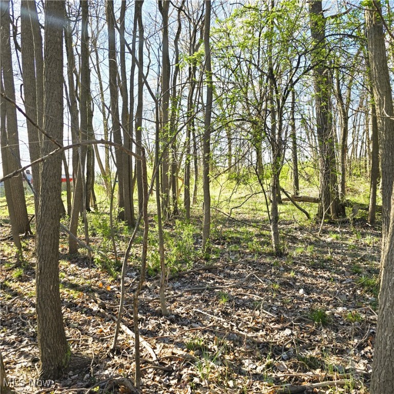 Tilby Road, North Royalton, Ohio image 1