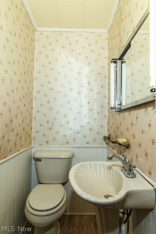 Main image without alt text