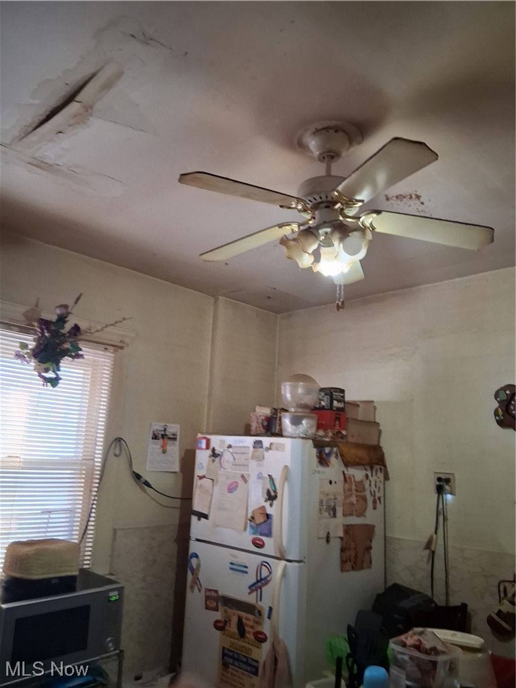 Photo of 8714 Birchdale Avenue, Cleveland, OH 44106 (MLS # 5184436)