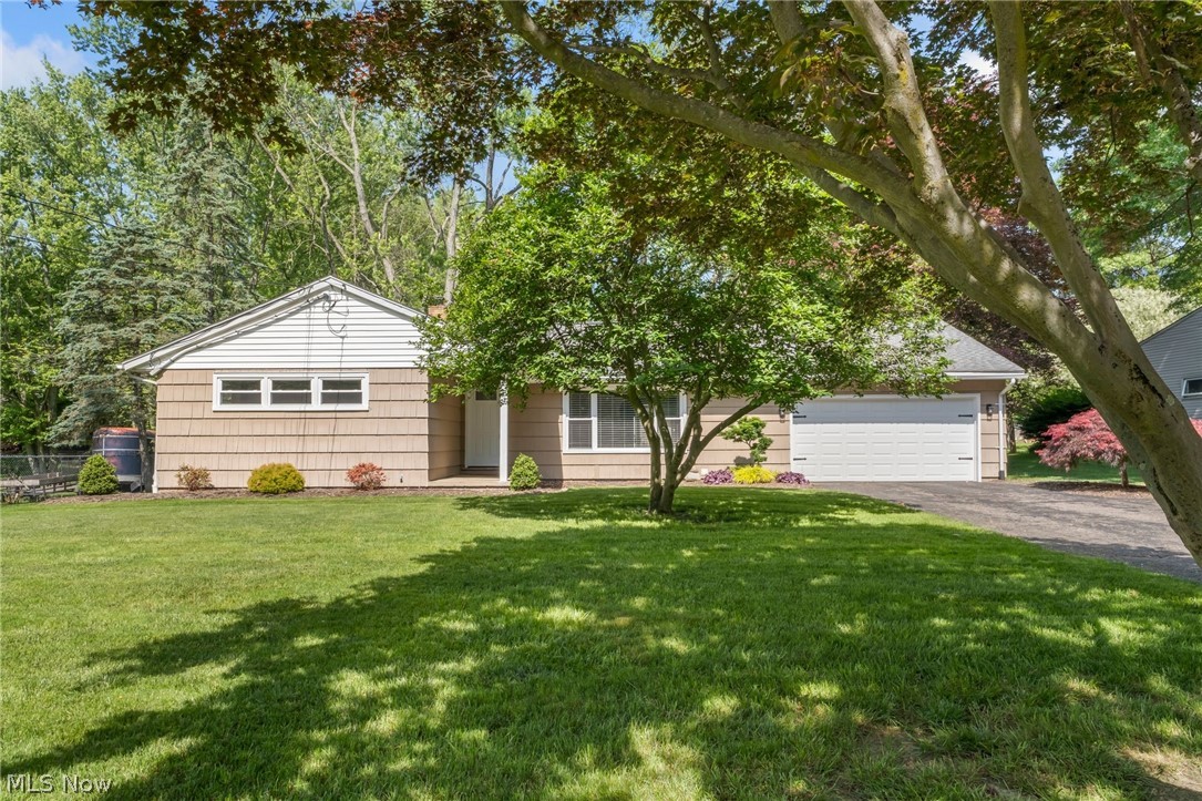 Welcome home to a turn-key Ranch home located within the Green Local School District. Offering over 2,200 square feet of thoughtfully designed and beautifully maintained living space, this 3-bedroom, 2-full bathroom gem is ready for you to move right in! Step inside and immediately notice the new carpet and fresh paint in modern, tasteful colors. The open floor plan boasts a large living room perfect for family gatherings and an updated sunroom that serves as a tranquil oasis filled with natural light. Imagine cozy evenings by the new fireplace or enjoying a morning coffee surrounded by serene views through large windows. The kitchen offers newer stainless steel appliances, a built-in microwave, and bright, white countertops and cabinetry. Whether cooking a family meal or entertaining guests, this kitchen makes it fun! Retreat to the fully updated bathrooms, featuring newer stone countertops, vanities, and tile surround showers. Every bedroom provides ample space and comfort, designed for restful nights and peaceful mornings. The massive recreation room in the basement is another highlight, with a sprayed, exposed ceiling painted black for a chic, modern look. This space also includes a fully updated bathroom with brand new features, ensuring every corner of this home is pristine. Outside, the huge backyard offers endless possibilities, and the additional garage provides so much extra storage space. A new waterproofing system with a transferable warranty gives peace of mind, ensuring the durability of your investment. Not only does this home come with a new garage door and recessed lighting, but it also boasts a newer septic system, reflecting the continual updates and attention to detail. Located in an amazing area close to schools, parks, restaurants, and shopping, this home perfectly balances convenience and tranquility. Don’t miss out on this exceptional opportunity. Schedule your private showing and make 4782 Shriver Rd your new home!