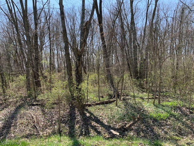 Priced to SELL!! Build your dream home on these lots in Norton! 2 parcels (approx 135 x 135) treed lots. Located on a quiet dead end street in City of Norton and Norton School District. Gas, electric, cable and sewer available at the street. Well is required. Buyer is responsible for all due diligence.
