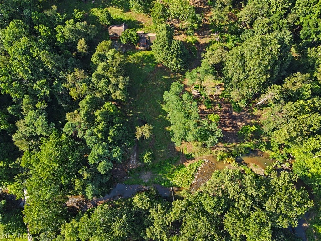 3166 Yellow Creek Road