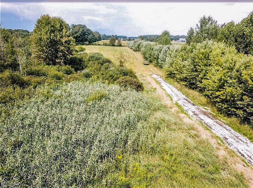 Country setting with tons of potential. You’ll find plenty of room to build your dream home with 6.7 acres of partially wooded land. Utilities (gas and electric) are at the street. Brush has been cleared opening up the parcel to view it’s full potential! Driveway access has been added. Soil test has been performed and results are available upon request. Schedule a private showing today!