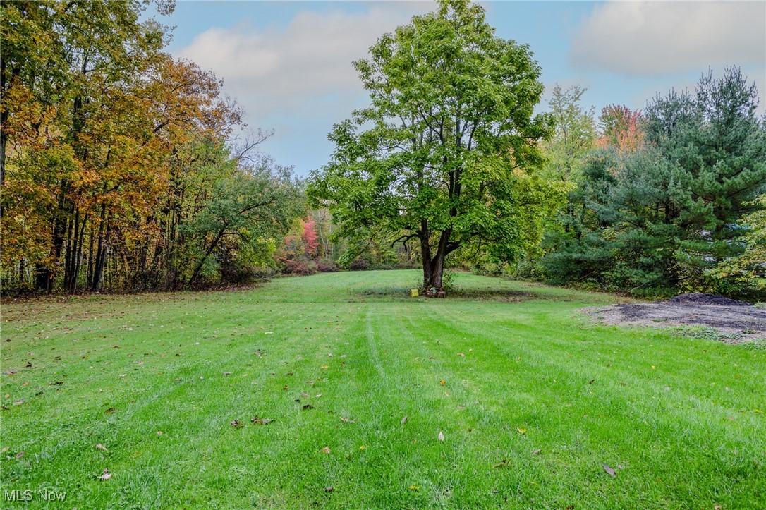 11179 Clay Street, Huntsburg, Ohio image 9