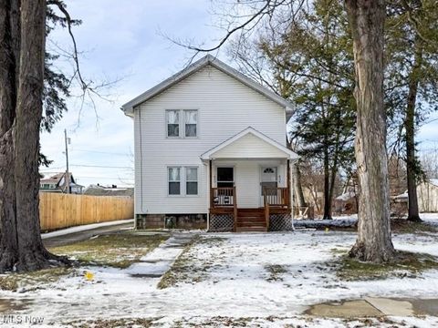 Multifamily For Sale - 838 Woodbine Avenue<br/> Trumbull County, Warren, OH 44484